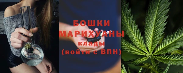 ECSTASY Белокуриха