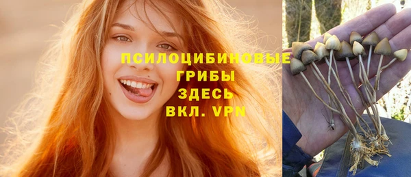 ECSTASY Белокуриха